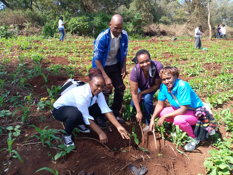 Hellen from The Senate Secretariat and staff from other sections of the academic division plant a tree