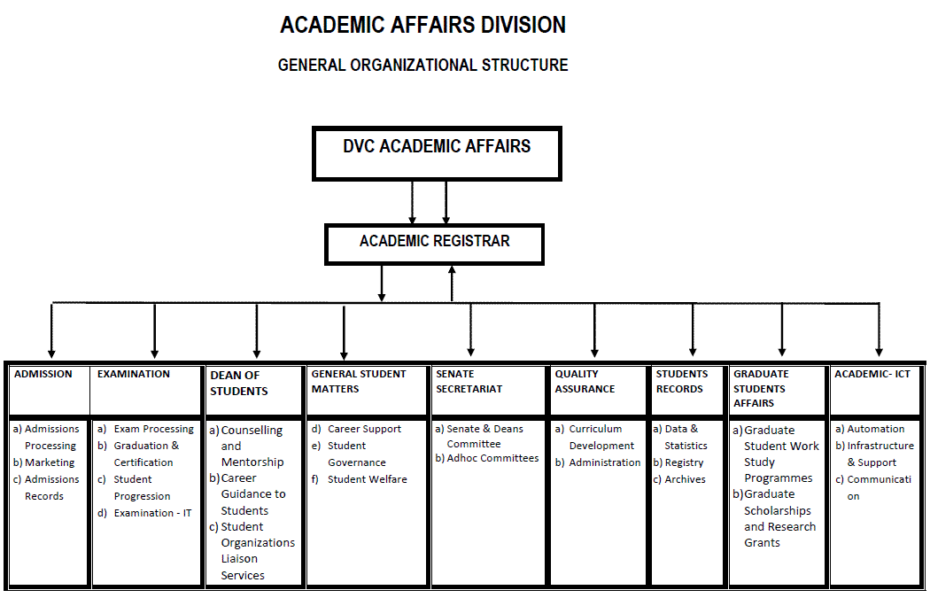 Organizational Structure of the Academic Affairs Division