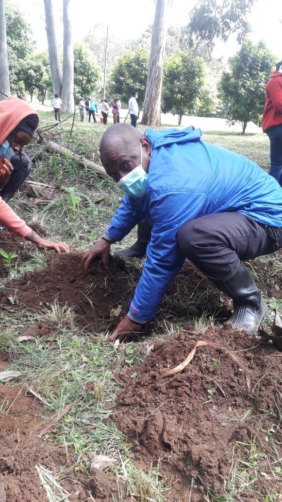 Tree Planting