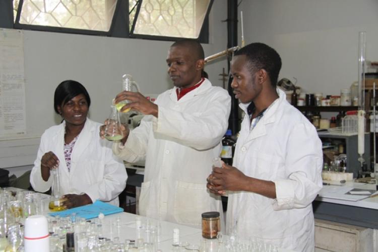 Students at the College of Biological & Physical Sciences