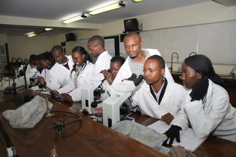 Students and staff at the College of Health Science, KNH Campus