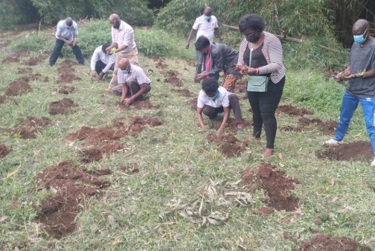 Tree Planting Day 18th May 2021