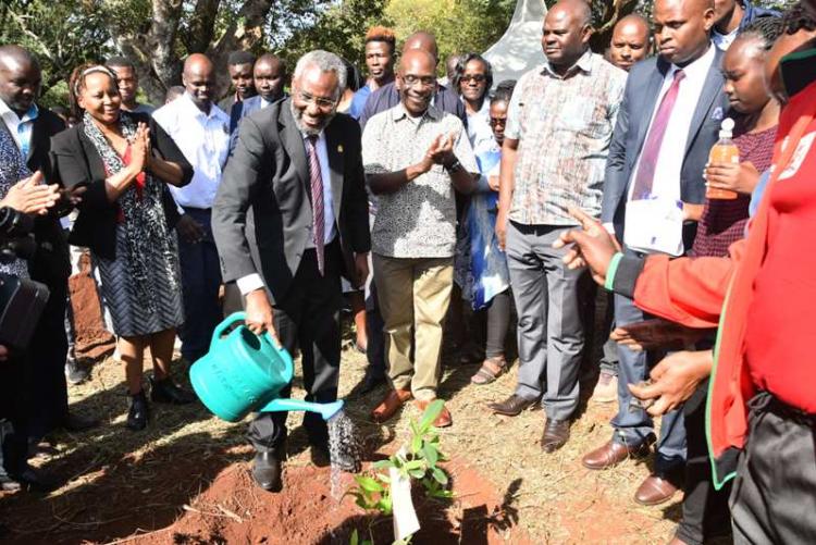 The VC, Prof. Kiama waters the seedling he planted