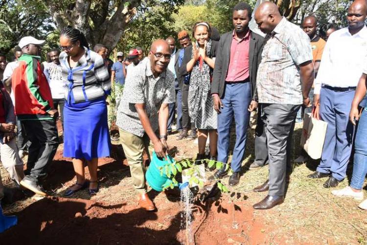 DVC AA, Prof. Julius Ogeng'o waters the seedling he planted