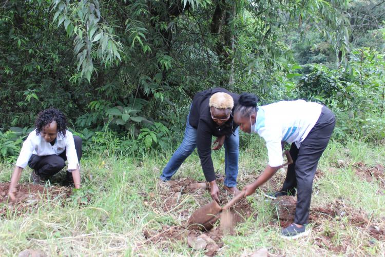 Staff from Admission Section take part in Tree planting exercise