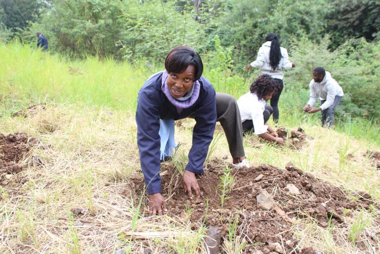 Staff from Deans Secretariate Section take part in Tree planting exercise