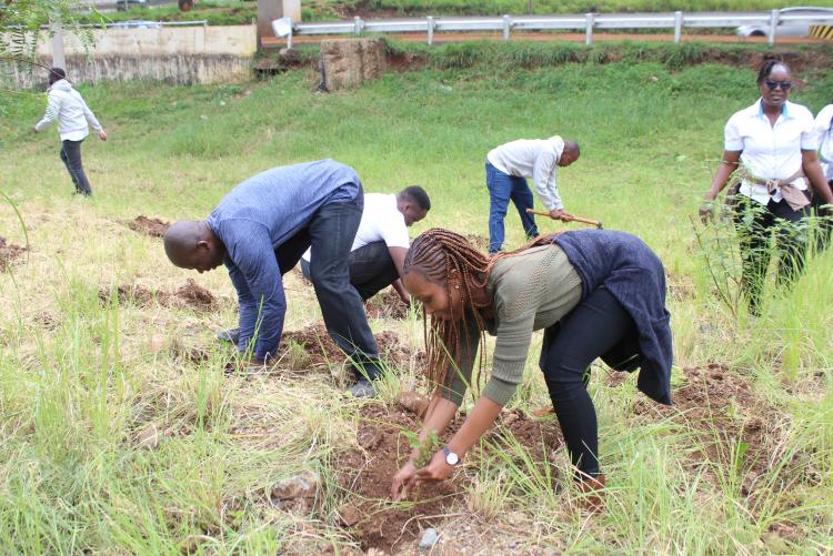 Staff from Academic ICT Section take part in Tree planting exercise