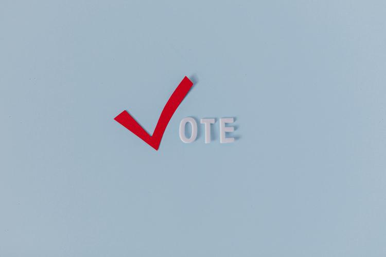 vote