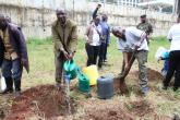 DVC AA leads the Academic Division in Tree Planting Exercise